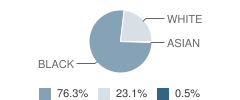 Northview School Student Race Distribution