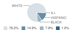 Early Childhood Center School Student Race Distribution