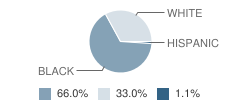 Weir Elementary School Student Race Distribution