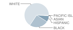 Overpark Elementary School Student Race Distribution