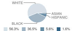 North Jones Elementary School Student Race Distribution