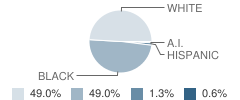 Baldwyn Elementary School Student Race Distribution