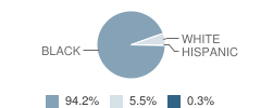 Ashland Middle / High School Student Race Distribution