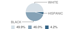 Calhoun City Elementary School Student Race Distribution