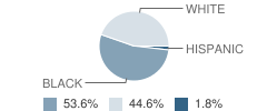 Ellisville State School Student Race Distribution