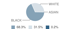 Charleston Elementary School Student Race Distribution