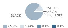 Plantersville School Student Race Distribution