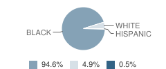 Greenhill Elementary School Student Race Distribution
