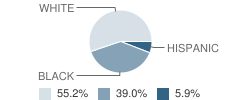 Blue Mountain High School Student Race Distribution