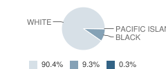 Tishomingo Elementary School Student Race Distribution