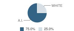 Ashland 7-8 School Student Race Distribution