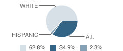 Culbertson School Student Race Distribution