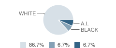 Denton 7-8 School Student Race Distribution