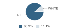 Dodson High School Student Race Distribution