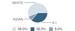 Froid High School Student Race Distribution