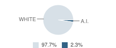 Garfield County District High School Student Race Distribution