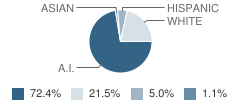 Hardin Middle School Student Race Distribution