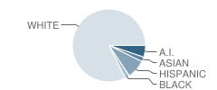 Huntley Project 7-8 School Student Race Distribution