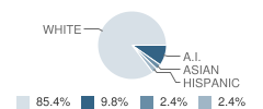 Hysham High School Student Race Distribution