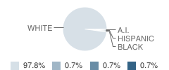 Joliet High School Student Race Distribution