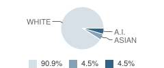 Lincoln 7-8 School Student Race Distribution