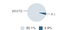 Moore High School Student Race Distribution