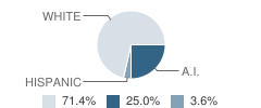 Nashua High School Student Race Distribution