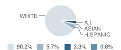 Plentywood High School Student Race Distribution