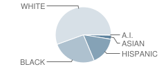 Casa Esperanza Montessori School Student Race Distribution