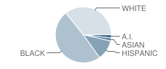 Pace Academy Student Race Distribution