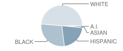 Southern Lee High School Student Race Distribution