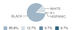 Wilmington Preparatory Academy Student Race Distribution