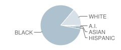 Bertie Middle School Student Race Distribution