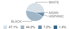 Lenoir County Early College High School Student Race Distribution