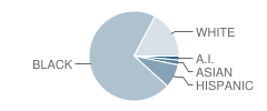 Cliffdale Elementary School Student Race Distribution