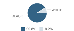 Success Institute Charter School Student Race Distribution