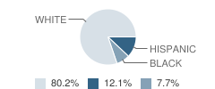 The New Dimensions School Student Race Distribution