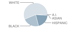 Guy B Teachey Elementary School Student Race Distribution