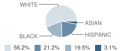 Avery's Creek Elementary School Student Race Distribution