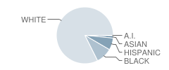 Charles D Owen Middle School Student Race Distribution