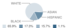 Mocksville Elementary School Student Race Distribution