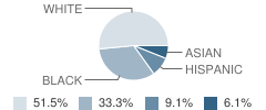 Dps Hospital School Student Race Distribution