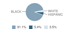 Cook Elementary School Student Race Distribution