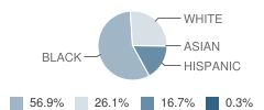 Woodhill Elementary School Student Race Distribution