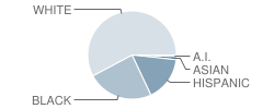 Brookside Elementary School Student Race Distribution