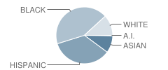 Edwin A Alderman Elementary School Student Race Distribution