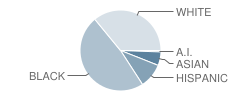 Eastern Guilford High School Student Race Distribution