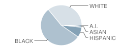 Northeast Guilford High School Student Race Distribution