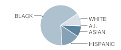 Union Hill Elementary School Student Race Distribution