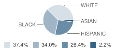 Bruce Drysdale Elementary School Student Race Distribution